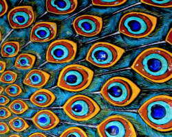 Abstracts in Colour 07