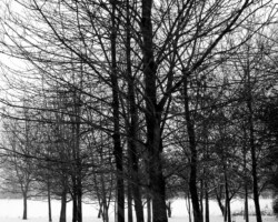 Winter Scene, Suffolk